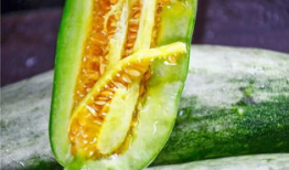 吃网红瓜,那些你不知道的“吃瓜”故事