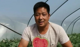 吃瓜网张津,网络红人的崛起之路