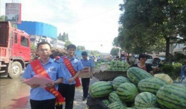 即墨吃瓜网红事件,网络舆论的风暴与反思